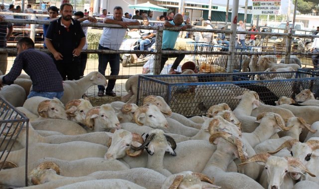 Ödemiş Belediyesi Kurban Bayramına hazırlanıyor
