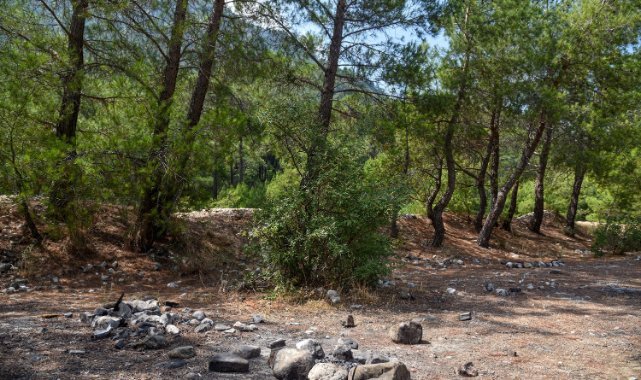 Orman yasakları sonrası 'mangal' duyarsızlığı