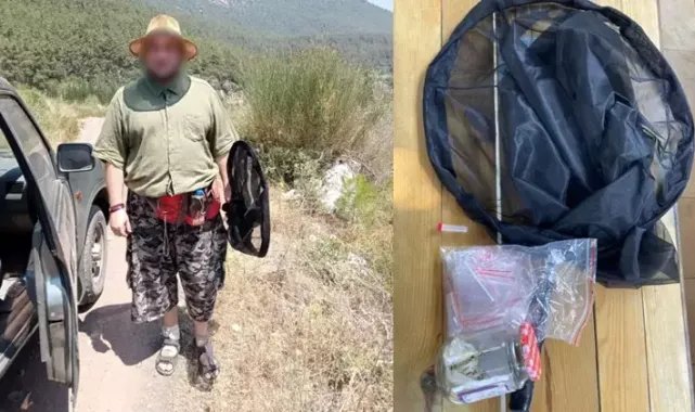 Ormanda izinsiz böcek toplarken yakalanan Rus akademisyene 378 bin 141 lira ceza
