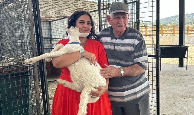 Sahipsiz kediler için anlamlı bağış