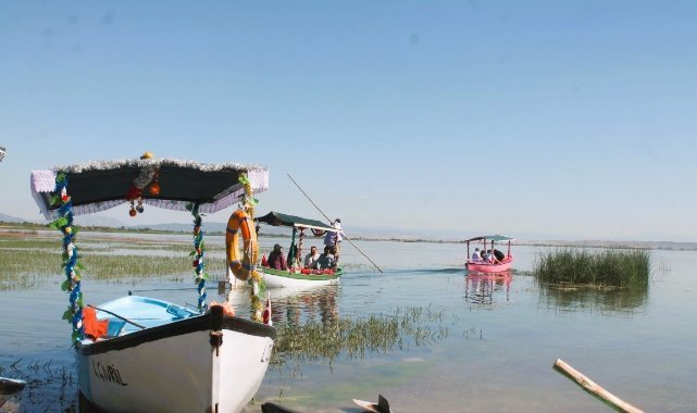 Türkiye'nin en büyük nilüfer tarlasında renklerin buluşması mest etti