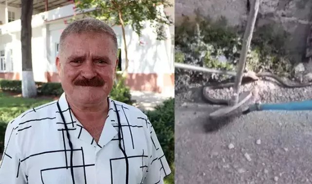 ‘Yılan ısırmasında kanın emilerek boşaltılması doğru değil’