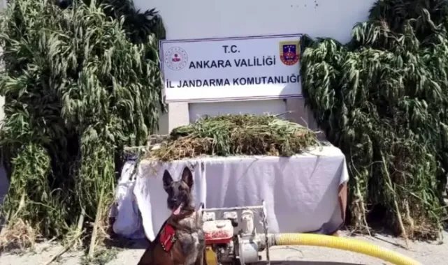 12 ilde 'Narkoçelik-26' operasyonları: 57 gözaltı