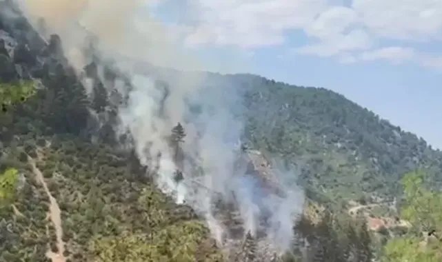 Adana'da orman yangını