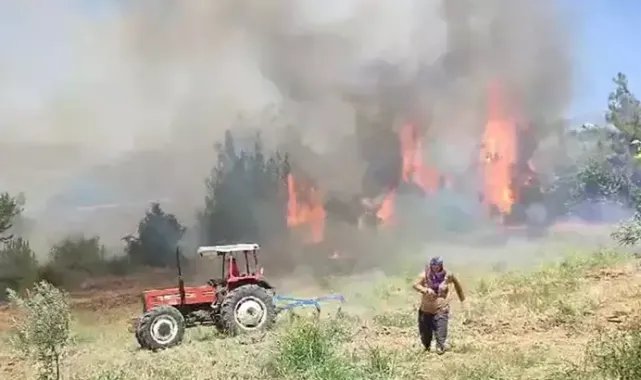Adana'da orman yangını