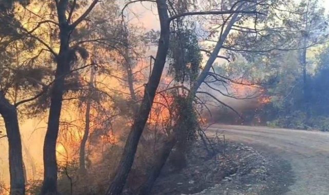 Adana’daki orman yangınında 10 ev tedbir amaçlı tahliye edildi