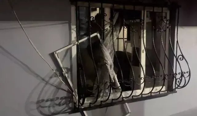 Ailesiyle yaşadığı evi ateşe verdi, 'canım istedi yaktım’ dedi