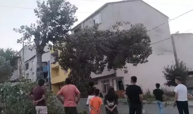Avcılar'da bir bölümü kesilen ağaç, elektrik hattı üzerinde asılı kaldı