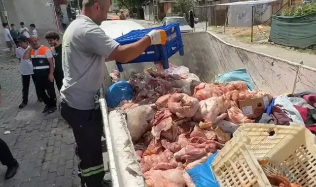 Avcılar'da çevreye yayılan koku, bozuk tavuk eti deposunu ortaya çıkardı