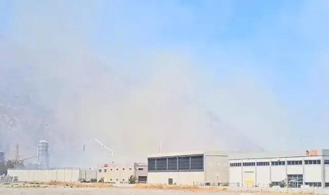 Aydın'da kağıt fabrikasındaki yangın 5'inci gününde
