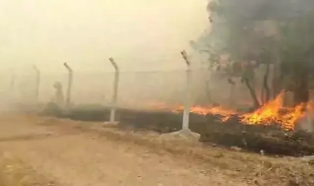 Balıkesir'de orman yangını