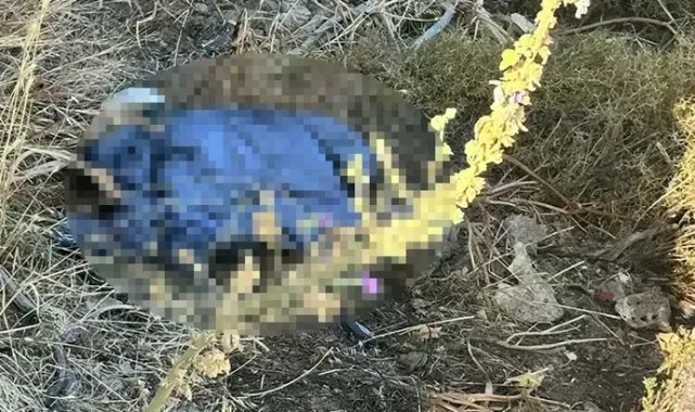Bodrum’da dağda insan iskeleti bulundu, JASAT özel ekip kurdu