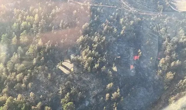 Bodrum'daki orman yangını 18 saat sonra kontrol altında