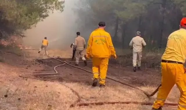 Bursa'da anız yangını, BUÜ kampüsünün de içinde olduğu ormana sıçradı