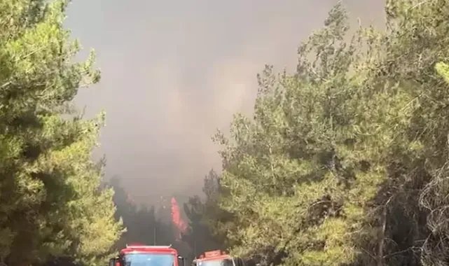 Bursa'da ormanlara girişler, 1 Ekim'e kadar yasaklandı
