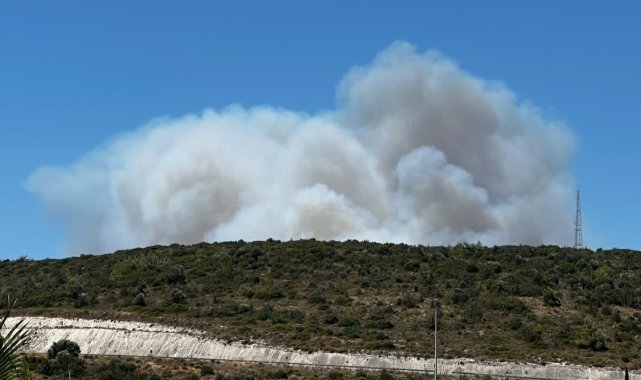 Çeşme'deki orman yangınına havadan ve karadan müdahale