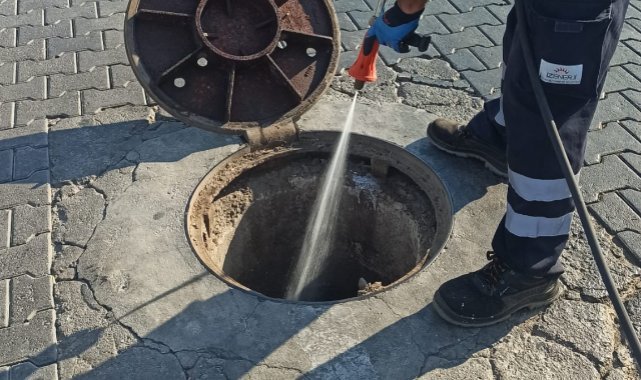 Efes Selçuk'ta haşere sorununa karşı yoğun mücadele