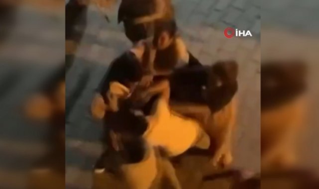 Esenyurt’ta aracına girmeye çalışan hırsızı komşuları ile birlikte dövdü