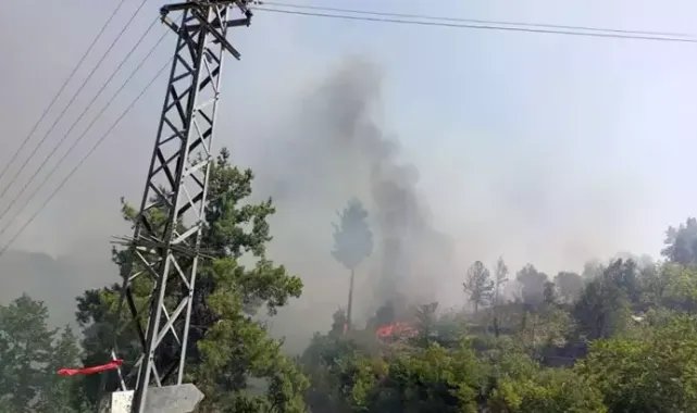 Evde çıkan yangın, bitişikteki ev, ahır ve ormana sıçradı