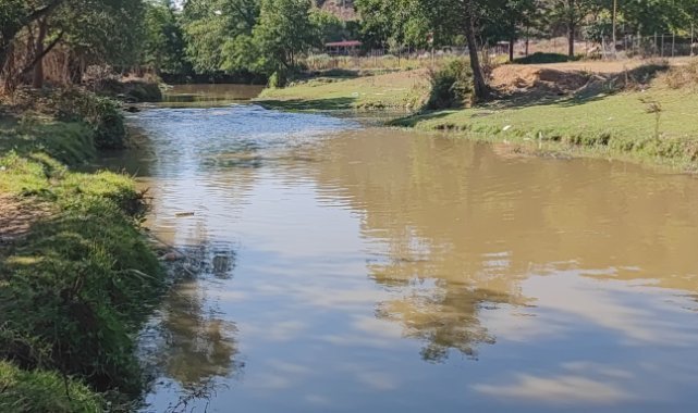 Eyüpsultan’da Alibey Barajı’na akan derede çok sayıda balık telef oldu