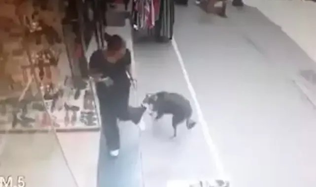 İş yerinden dışarı çıkan çalışana kapı önünde uzanan sokak köpeği saldırdı