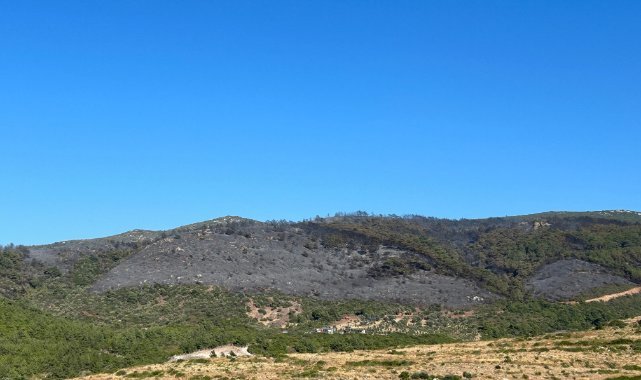 İzmir Urla'daki orman yangını kısmen kontrol altında