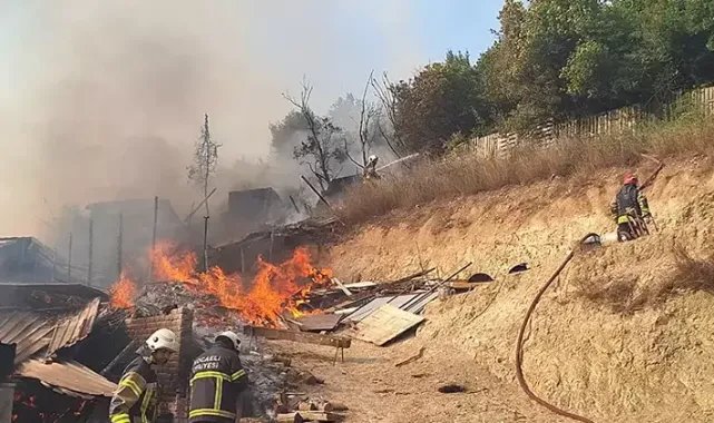 İzmit'te ahır yangını; 13 hayvan öldü