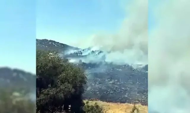 Kahramanmaraş’ta orman yangını