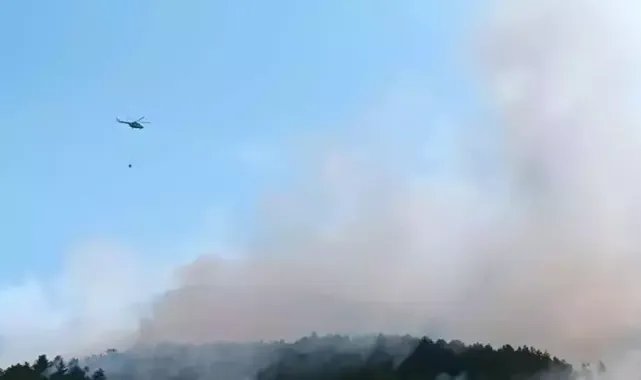 Kastamonu'da yıldırım düşmesiyle çıkan yangında 2'nci gün