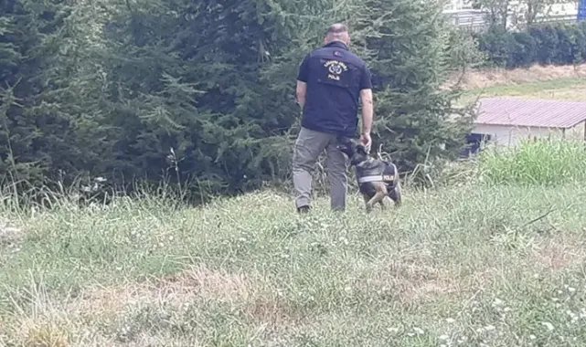 Kayıp kadını arama çalışmalarında kadavra köpeği Zeyna koku aldı; ceset bulundu