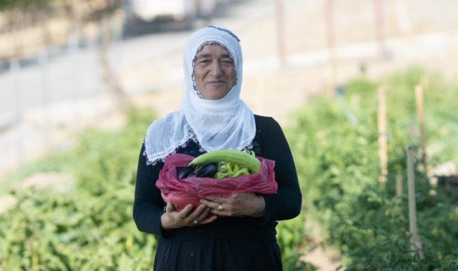 Mahalle bostanında hasat zamanı
