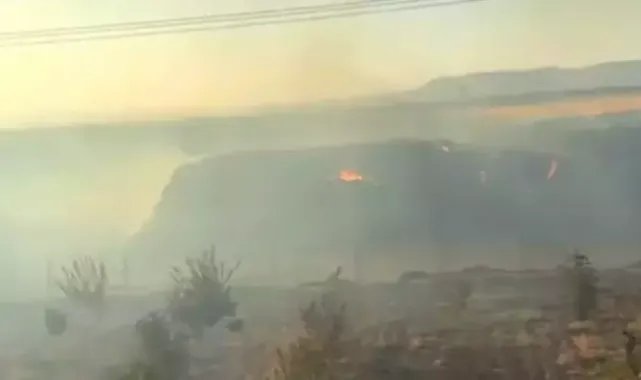 Mardin'de saman yangınında 25 dönümlük fıstık bahçesi zarar gördü