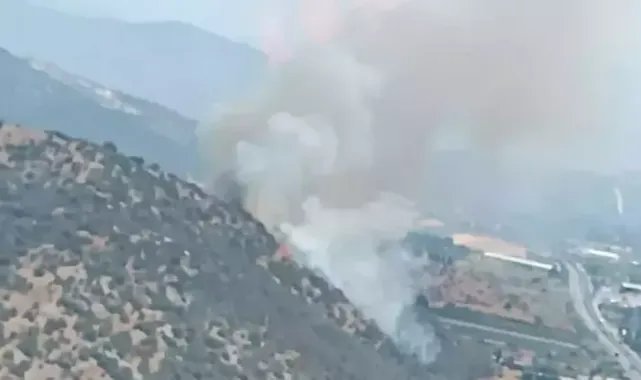 Milas'ta makilik ve tarım arazisinde yangın
