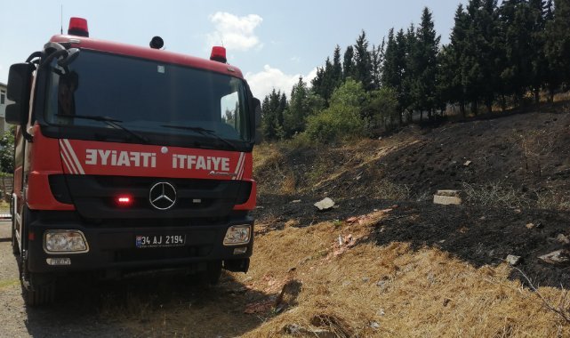 Sancaktepe'de ormanlık alanda yangın