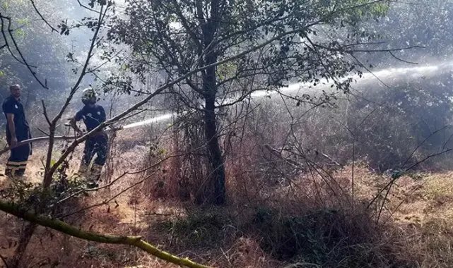 Tekirdağ'da anız yangını ormana ulaşmadan söndürüldü