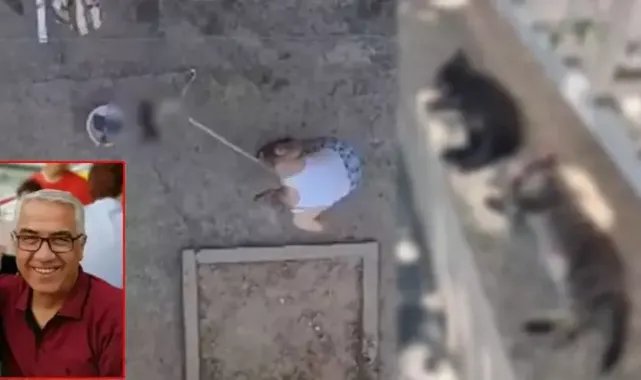 3 yavru kediyi, mutfağına girdiği için öldürmüş