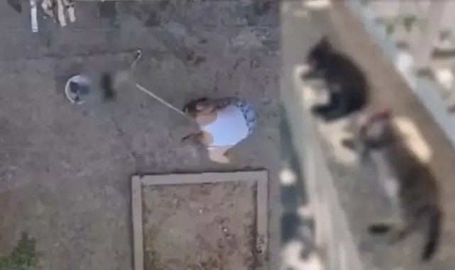 3 yavru kediyi sopayla vurarak öldürdü