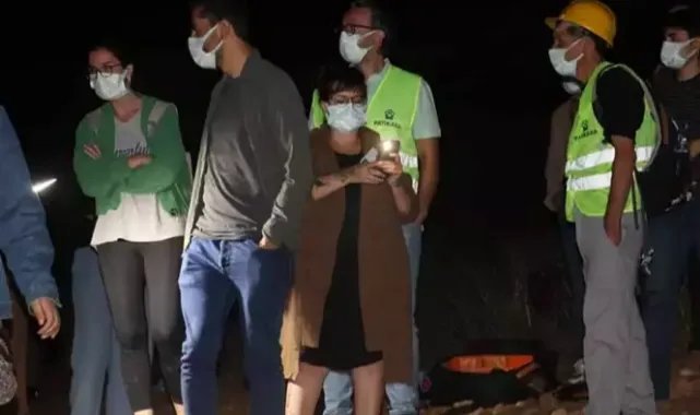 Ankara'da barınak yakınında 11 köpek ölüsü bulundu; soruşturma başlatıldı