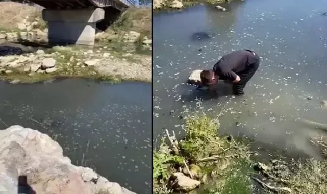 Atıklarını dereye boşaltan patates firmasına ceza