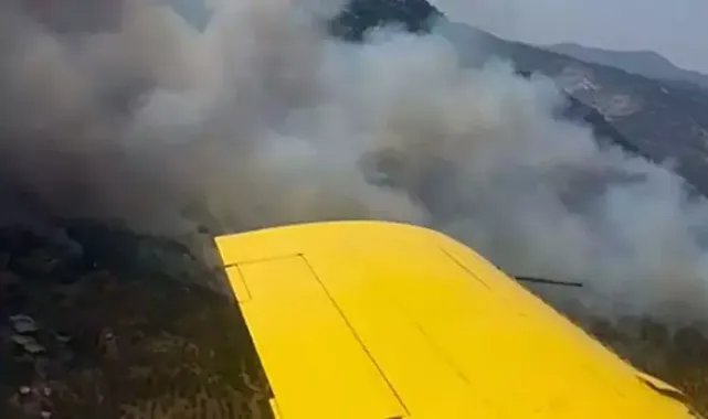 Aydın'da makilikte çıkan yangın, ormana sıçradı