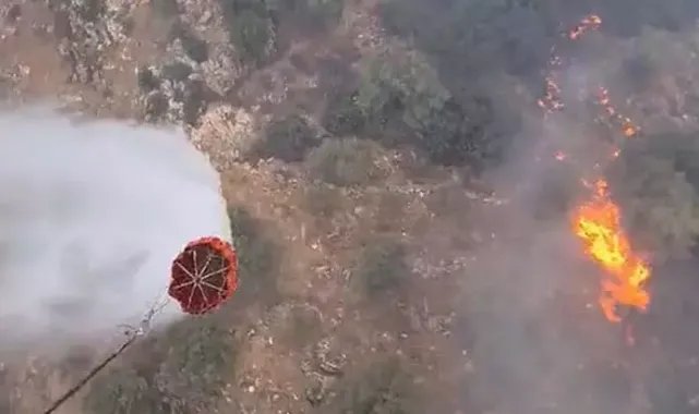Aydın'daki orman yangınında 3'üncü gün