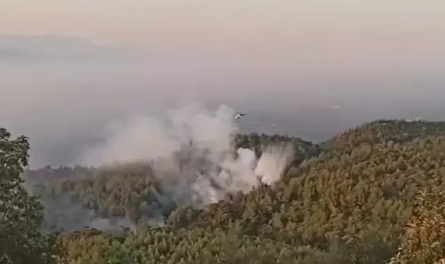 Aydın'daki yangın 2'inci gününde devam ediyor