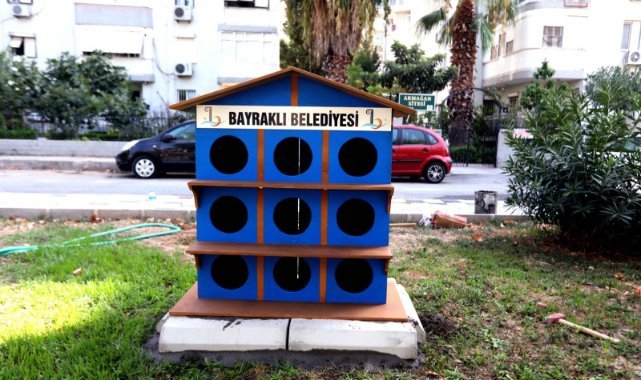 Bayraklı'da pati evlerinin sayısı artıyor