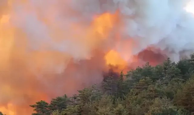 Bolu'da orman yangını 2'nci gününde