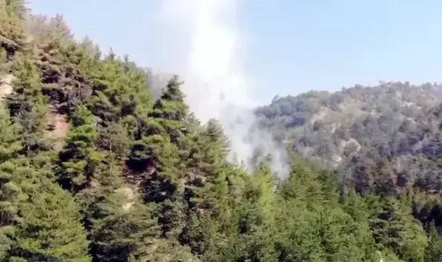 Bolu'da orman yangını 4'üncü gününde