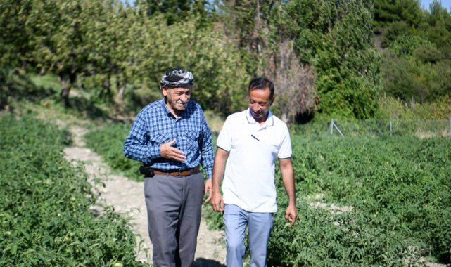 Bornova Belediyesi'nden yerel üreticilere tam destek