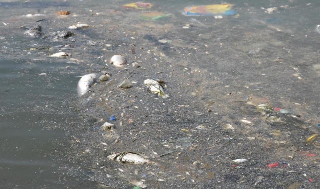 Büyükşehir’den koku ve balık ölümlerine ilişkin bilgilendirme
