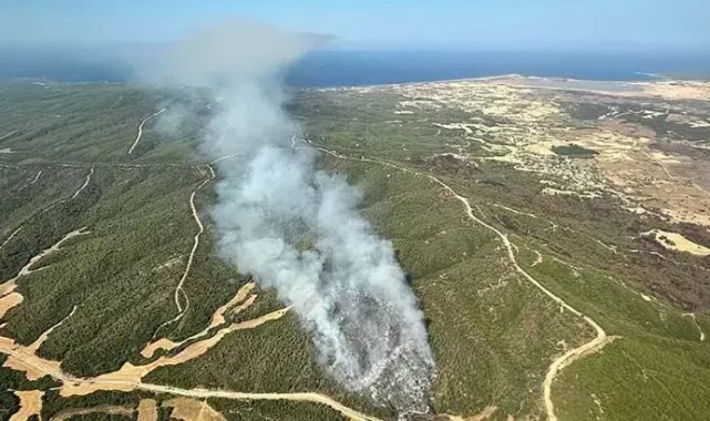 Çanakkale’de orman yangını