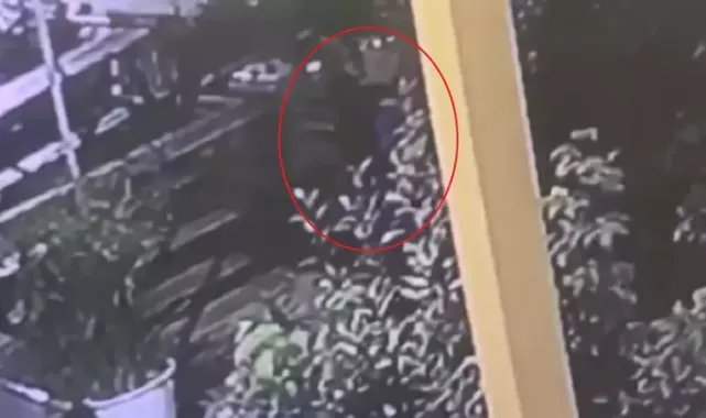 Çarşının maskotu 'Kontes', buzdolabında ölü bulundu