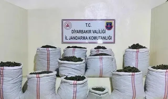 Diyarbakır'da 2 milyon 300 bin kök kenevir, 414 bin 500 kök skunk ele geçirildi